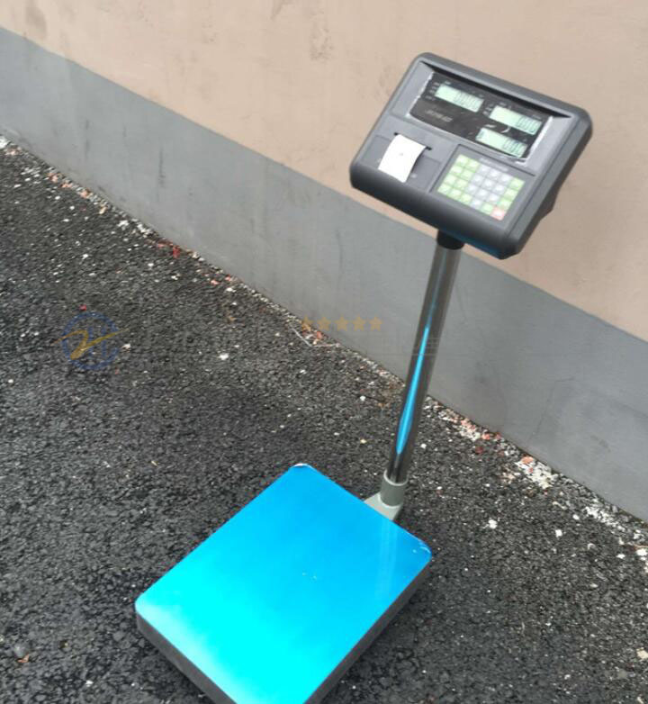 計數(shù)電子臺稱